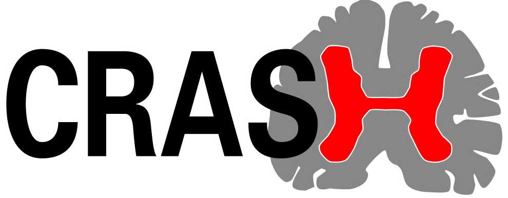 CRASH logo